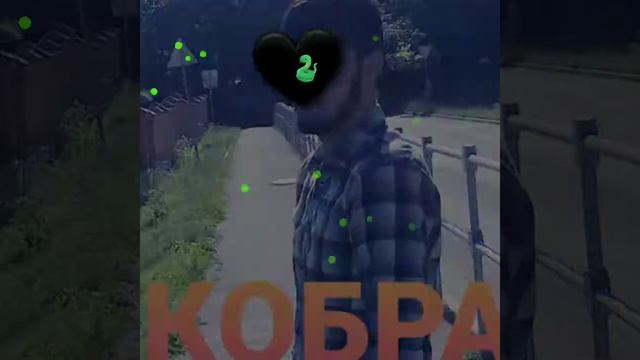 КОБРА🐍ПЕСНИЙ💣