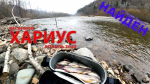Весенний хариус на реке Арсеньевка 2025