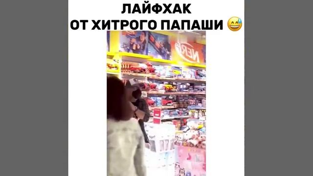 смешные видео