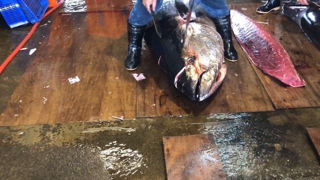 Fluent giant bluefin tuna cutting skills are amazing смотреть онлайн