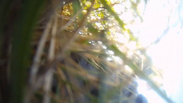 Не бросил запаску, но остался жив.