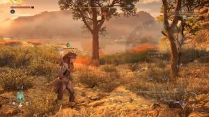 Horizon Forbidden West - Водопрыск