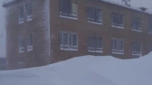 Воргашор пурга 2025