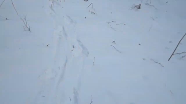Небольшой тест снегоступов Yucon charlie"s смотреть онлайн