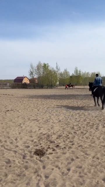 Учимся правильно скакать на лошади