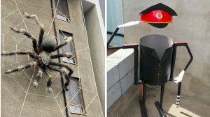 Фото подписчиков Фактории (237 часть)