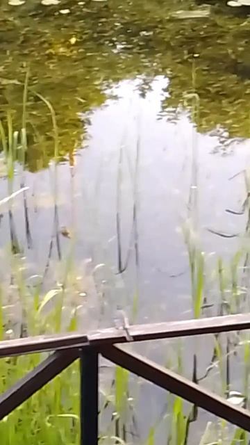 13 июня 2023 г. смотреть онлайн