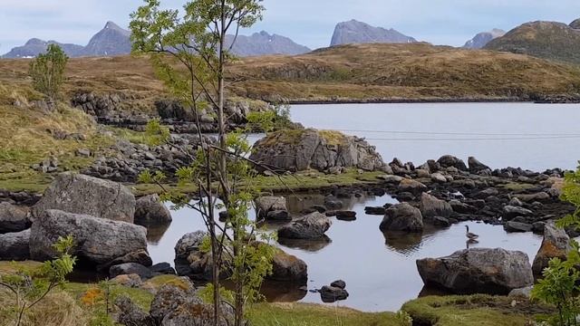 Норвегия. Острова Вестеролен. Vesterålen, Tindsøya. смотреть онлайн