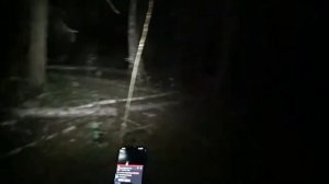 ХАРД ПЛЕЙ И УЖАСЫ НОЧНОГО ЛЕСА / УВИДЕЛ ПРИЗРАКОВ