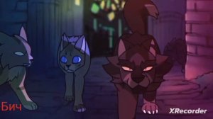 Клип Бич коты воители