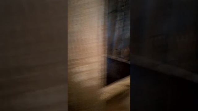 Знакомство со сомной 🫣