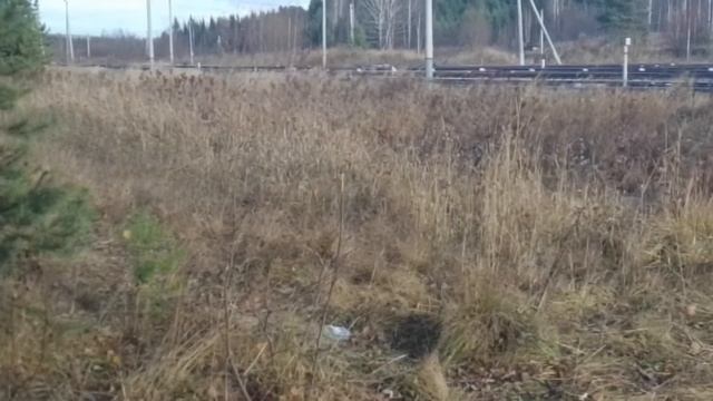 тэп70-0280 с пригородным поездом 6973 сообщением Серов Приобье отправляется с 1 пути смотреть онлайн