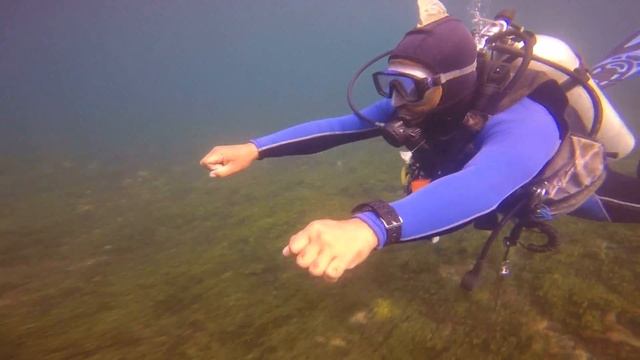 Полет под водой!)))