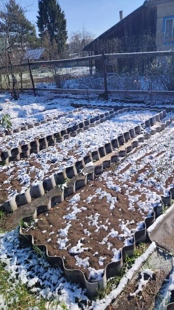 утро добрым не бывает