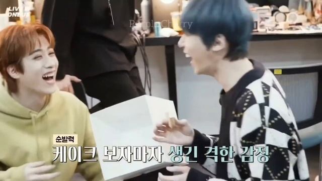 happy birthday xion | oneus смотреть онлайн