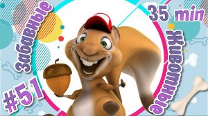 Забавные и Смешные Животные № 51 + Лучшие Подборки Животных + Смешные и Прикольные Животные