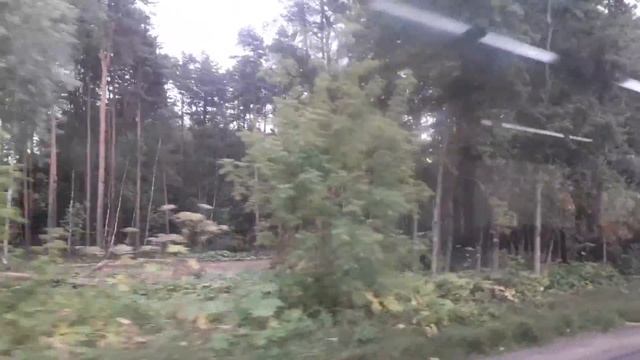 Лес рубят( Бутово-парк) смотреть онлайн