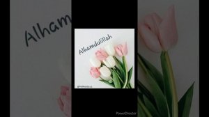 Нилуфар бинту Улугбек.  Жуда гозал нашида.