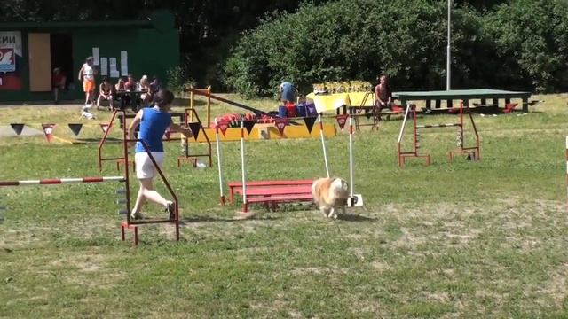 ЧР_Даша и Марти.mov смотреть онлайн