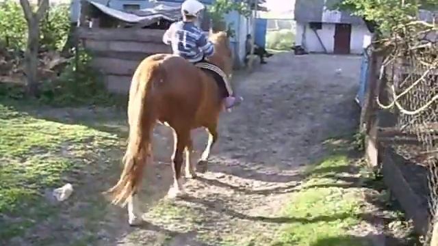 Як правильно їздити на коні?