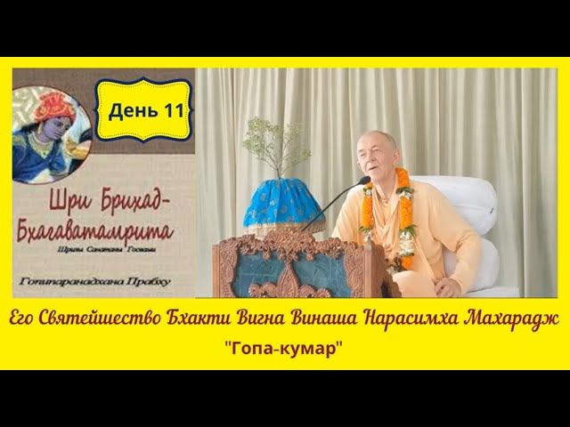 День 11 - 05.05.2020 - Брихад-Бхагаватамрита - БВВ Нарасимха Махарадж (англ-рус)