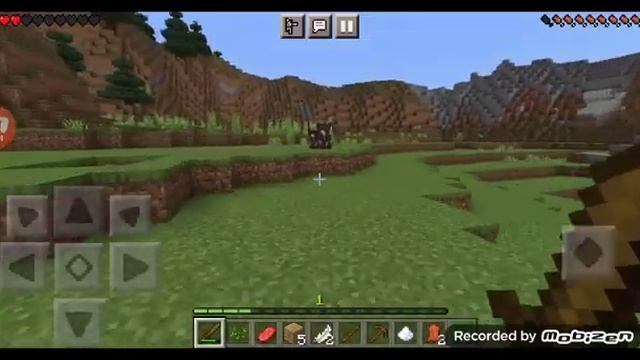 Майнкрафт шиза