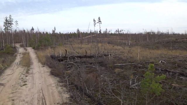 НОЯБРЬСКОЕ ПРИКЛЮЧЕНИЕ ШУЯ - ЮЖА - ВЯЗНИКИ - КОВРОВ смотреть онлайн