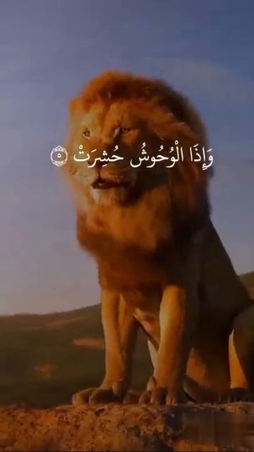 Коран слушать