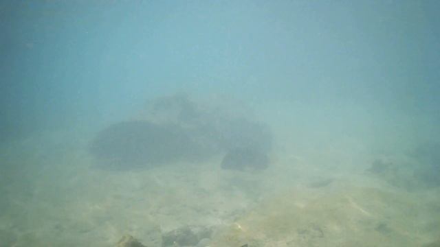 Египет. Шарм-Эль-Шейх. Отель Шарм Клифф Резорт, hotel Sharm Cliff Resort смотреть онлайн