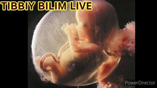 HOMILA SUVI LOYQALANISHI.Хомила суви лойкаланиши