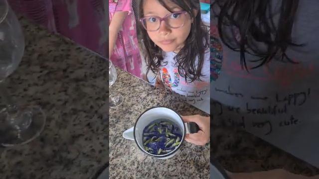 Luiza e o Mundo do Arco Iris "Chá de Fada Azul" смотреть онлайн