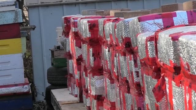 Последнее видео из Канады. смотреть онлайн