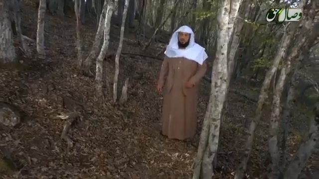 Чахони Охират кисми 22 Шафоат 1 Шайх Мухаммад Ал_Арифи смотреть онлайн