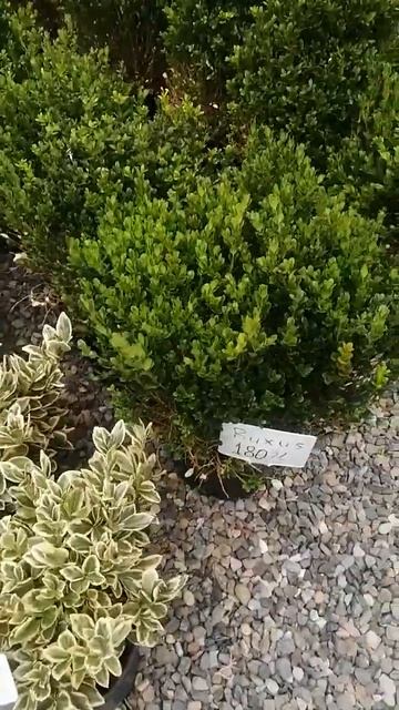 8 ноября 2023 г.