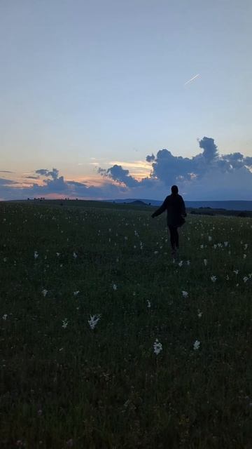 18 июня 2024 г.