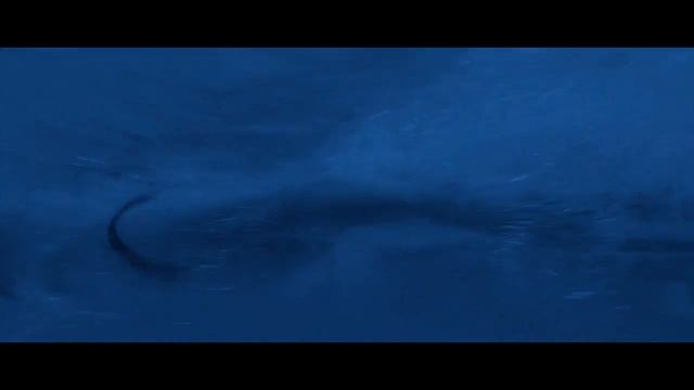 FINVAL - BORN TO SWIM... смотреть онлайн