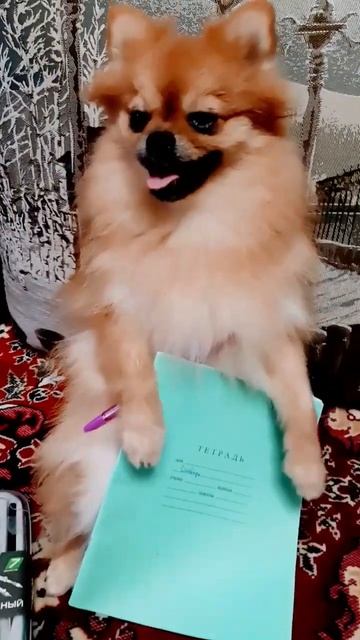 1 сентября 2023 г. смотреть онлайн