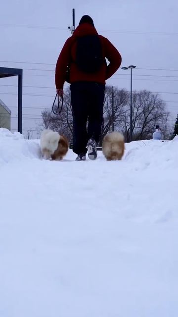Сейчас у меня в руках ❤️♥️❤️