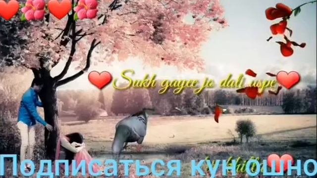 ЗЕБОТАРИН КЛИПЫ ОШИКИ! смотреть онлайн