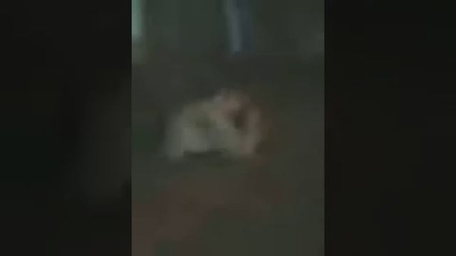 приколы про никиту смотреть онлайн