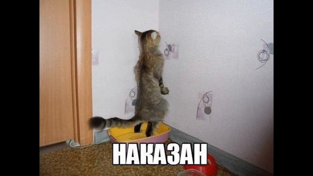 Мое слайд-шоу от Кирилла