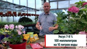 Как подкислить почву на участке