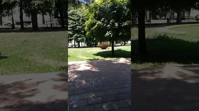 Счастье не за горами Нальчик в прямом эфире! смотреть онлайн