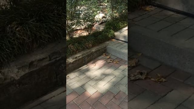 5 августа 2024 г.