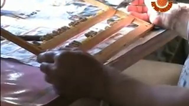 Разделяем маточники смотреть онлайн