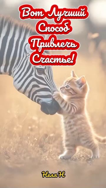 Доброе Утро. ВидеоОткрытка смотреть онлайн