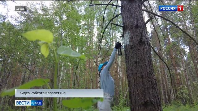 Вести-Урал, отправление волонтеров БФ Синара на Перевал Дятлова смотреть онлайн