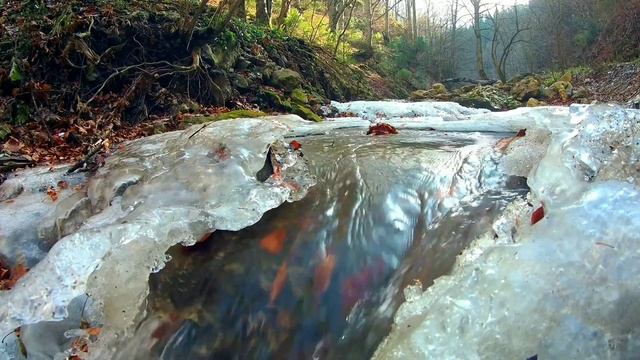 Маргинал о подозреваемых в убийстве Дарьи Дугиной смотреть онлайн