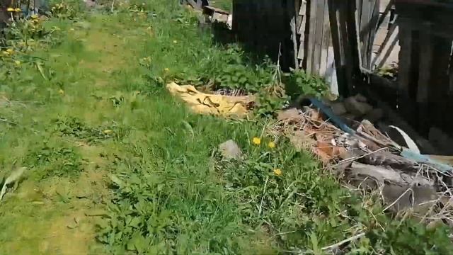 ЗАБРОШКИ НАШЕЙ ДЕРЕВНИ 2 смотреть онлайн