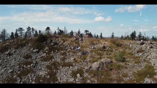 Фалаза (Литовка)  Два сезона